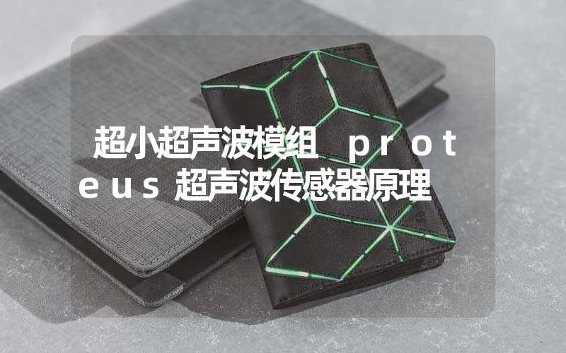 超小超声波模组 proteus超声波传感器原理